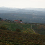 vineyards on Langhe hills
