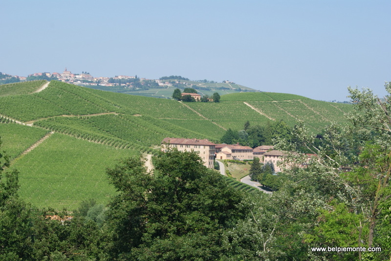 Langhe hills, Piedmont, Italy