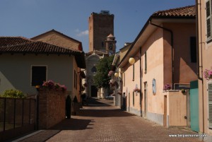 Barbaresco, Piedmont, Italy