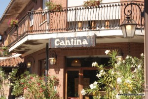 Barbaresco, Piedmont, Italy