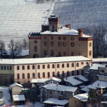 Castello Falletti di Barolo, Barolo, Piemonte, Italia