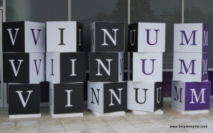 Vinum 2013, Alba, Piemonte, Italia