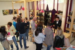 Vinum 2013, Alba, Piemonte, Italia