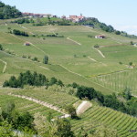 Colline delle Langhe, Piemonte, Italia
