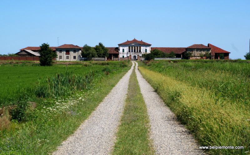 Risaie vercellesi, Piemonte, Italia