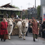 Sfilata il Palio degli Asini, Alba, Piemonte, Italia