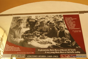 Fiera Internazionale del Tartufo Bianco d'Alba 2013, Piemonte, Italia