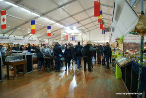 Fiera Internazionale del Tartufo Bianco d'Alba 2013, Piemonte, Italia