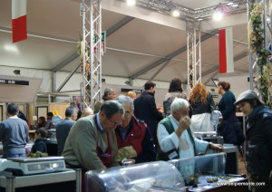 Fiera Internazionale del Tartufo Bianco d'Alba 2013, Piemonte, Italia