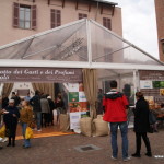Fiera Internazionale del Tartufo Bianco d'Alba 2013, Piemonte, Italia
