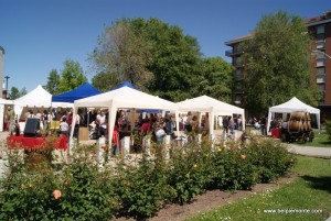 Vinum 2014, Alba, Piemonte, Italia