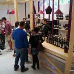 Vinum 2014, Alba, Piemonte, Italia
