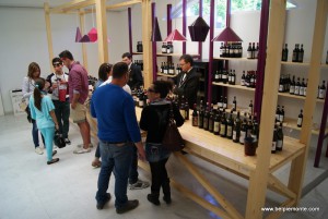 Vinum 2014, Alba, Piemonte, Italia
