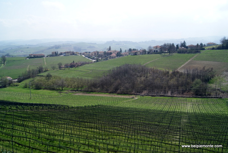 Winnica Elio Altare, La Morra, Piemont Włochy